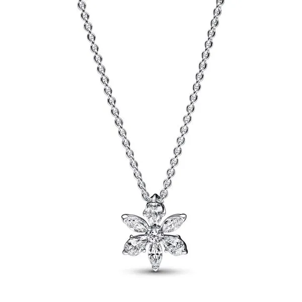 PANDORA BEADS J. Howard Jewelers Bedford, IN