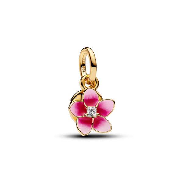 PANDORA BEADS J. Howard Jewelers Bedford, IN