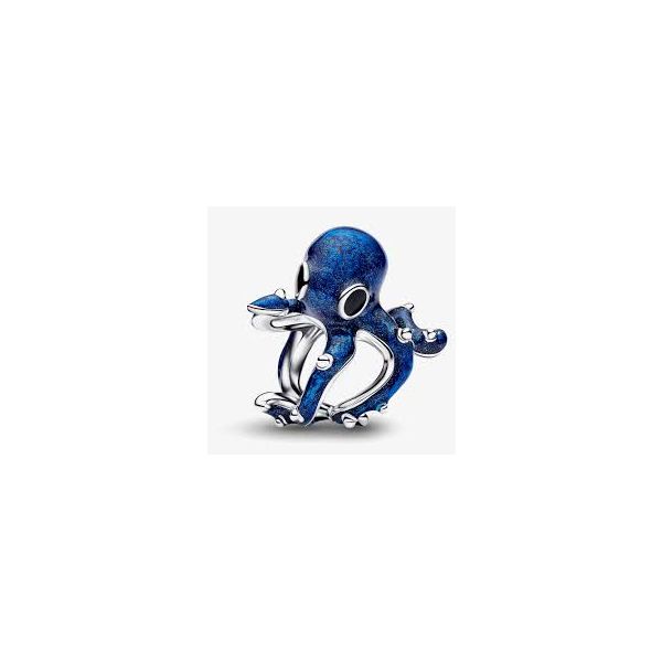 PANDORA BEADS J. Howard Jewelers Bedford, IN