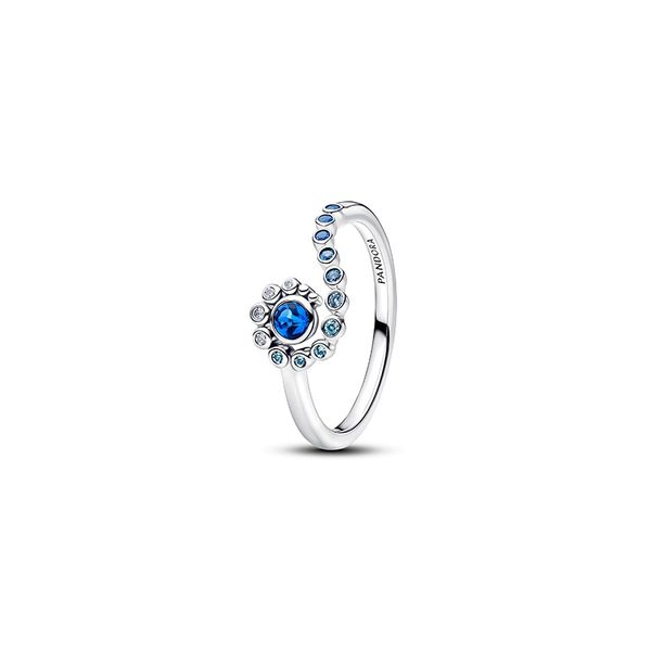 PANDORA BEADS J. Howard Jewelers Bedford, IN
