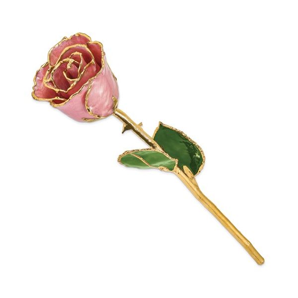 Pale Pink Gold Dipped Rose J. Howard Jewelers Bedford, IN