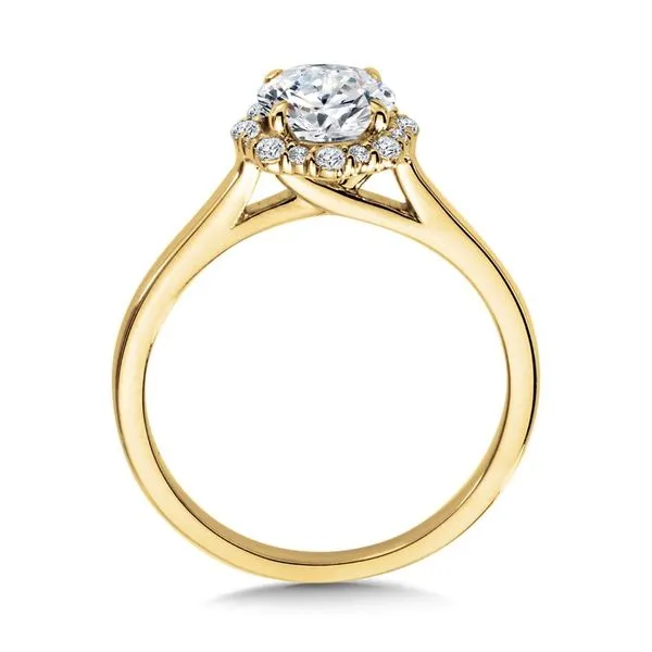 Laboratory Created Diamond Engagement Ring Image 2 Jim Kryshak Jewelers Wausau, WI