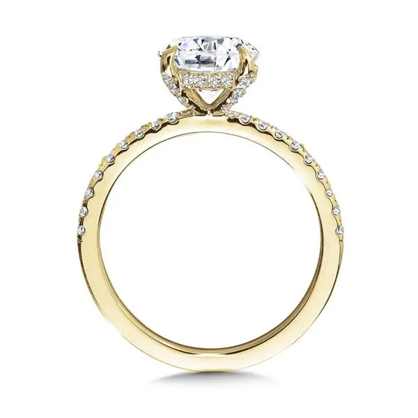 Laboratory Created Diamond Engagement Ring Image 2 Jim Kryshak Jewelers Wausau, WI