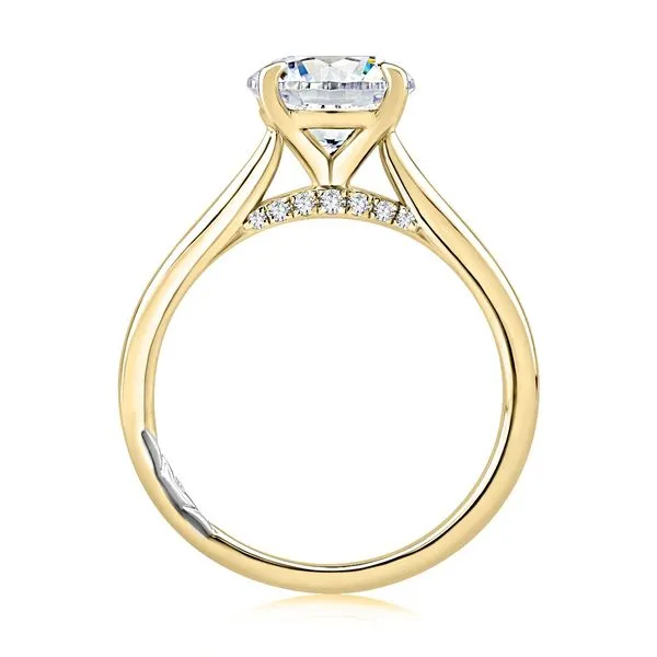 Round Solitaire Engagement Ring Setting Image 3 Jim Kryshak Jewelers Wausau, WI