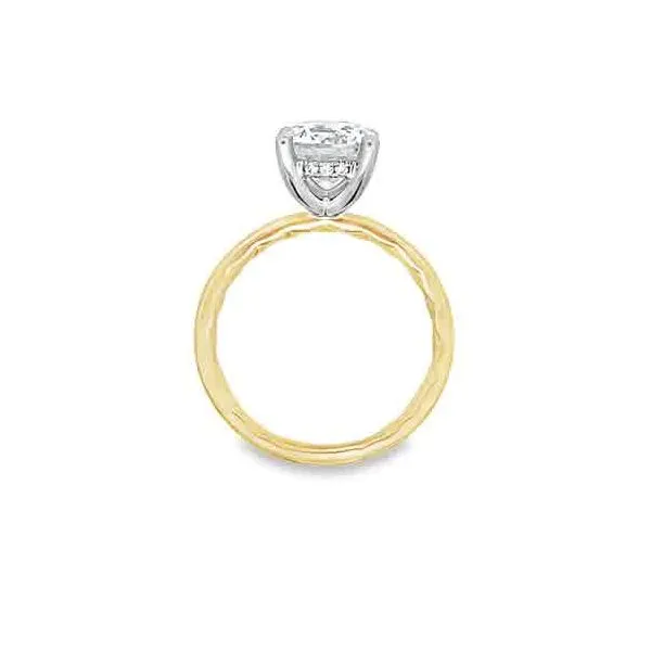 Round Hidden Halo Engagement Ring Setting Image 2 Jim Kryshak Jewelers Wausau, WI