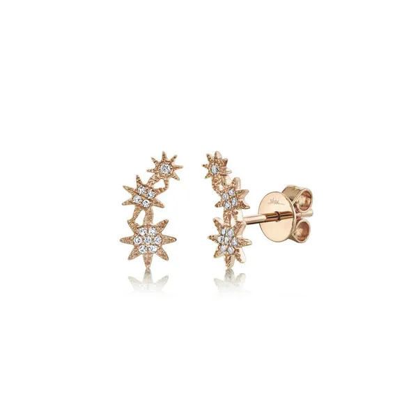 Diamond Earrings Jim Kryshak Jewelers Wausau, WI