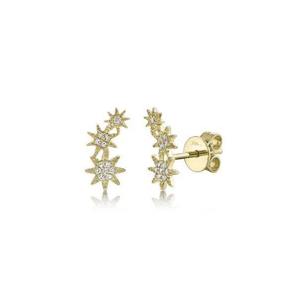 Diamond Earrings Jim Kryshak Jewelers Wausau, WI