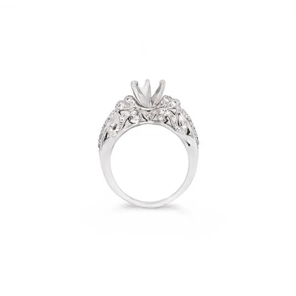 Platinum Diamond Engagement Ring Image 2 JMR Jewelers Cooper City, FL