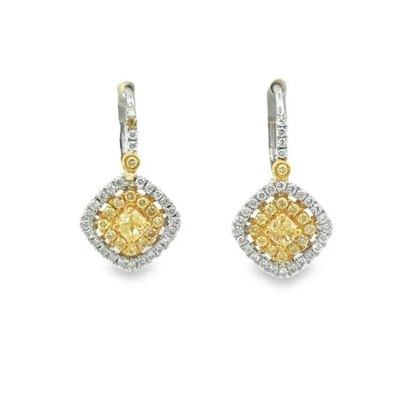 18Kt Yellow Gold Womens Earrings