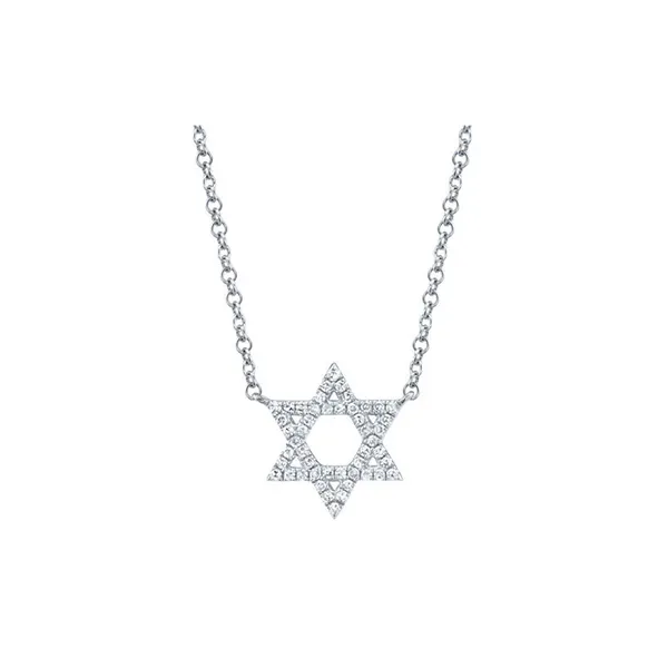 14Kt White Diamond Star of David Necklace
