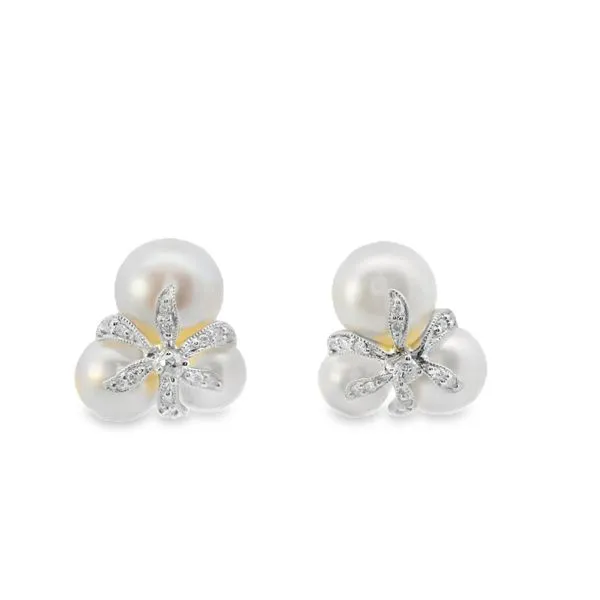 14Kt Womens Earrings