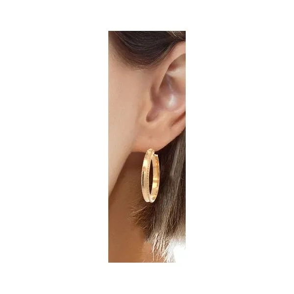 14Kt Yellow Gold Womens Earrings