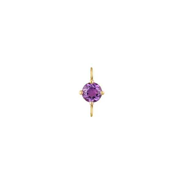 Amethyst Charm in 14K Yellow Gold