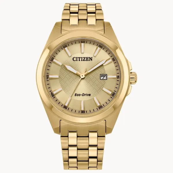 Citizen eco drive discount wr100 gold price