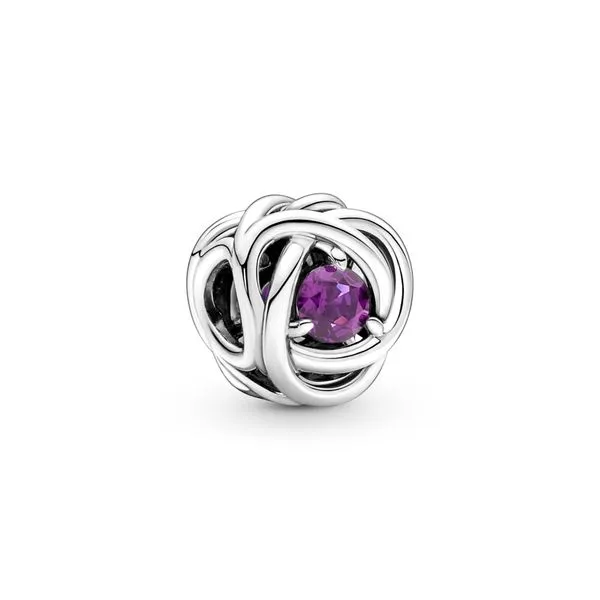 Pandora February Purple Eternity Circle Charm JMR Jewelers Cooper City, FL