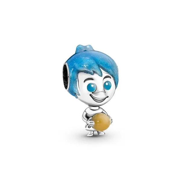 Pandora memory charm online