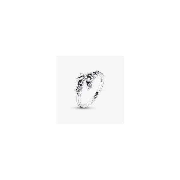 Pandora JMR Jewelers Cooper City, FL