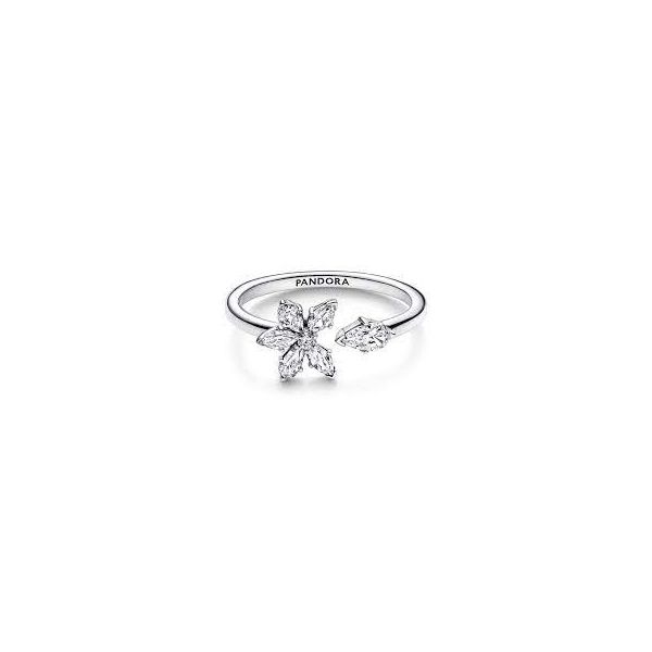 Pandora Herbarium Cluster Open Ring JMR Jewelers Cooper City, FL