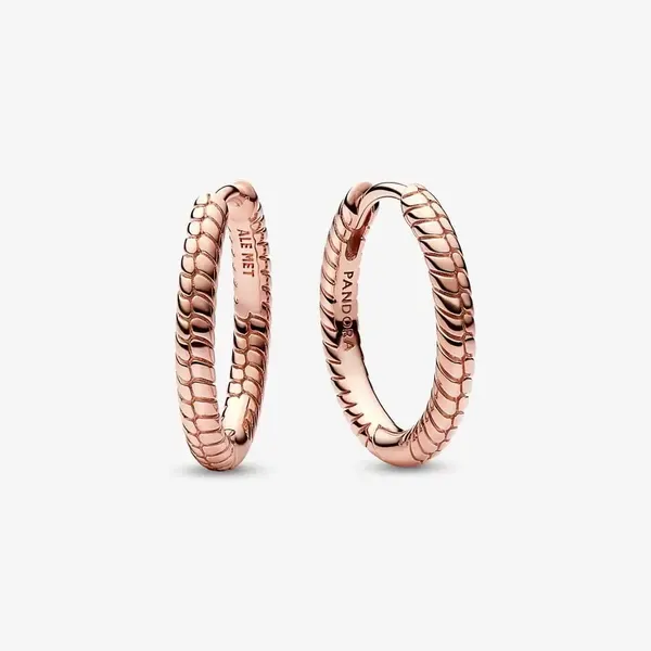 Pandora Moments Small Charm Hoop Earrings JMR Jewelers Cooper City, FL