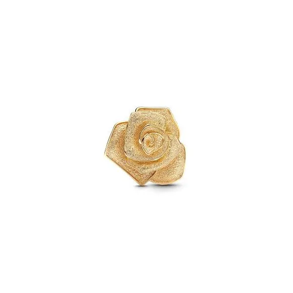 Pandora Rose in Bloom Oversized Charm JMR Jewelers Cooper City, FL