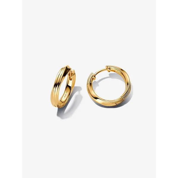 Gold-Plated Twisted Hoop Earrings