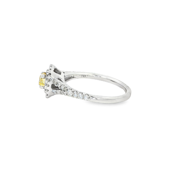 14K White & Yellow Gold Cushion Diamond .75ctw Halo Engagement Ring Image 4 Jo & Co. Jewelers Hardy, VA