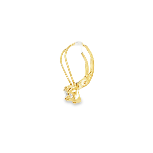 14K Yellow Gold Princess Diamond Leverback Earrings – .49ctw Image 4 Jo & Co. Jewelers Hardy, VA