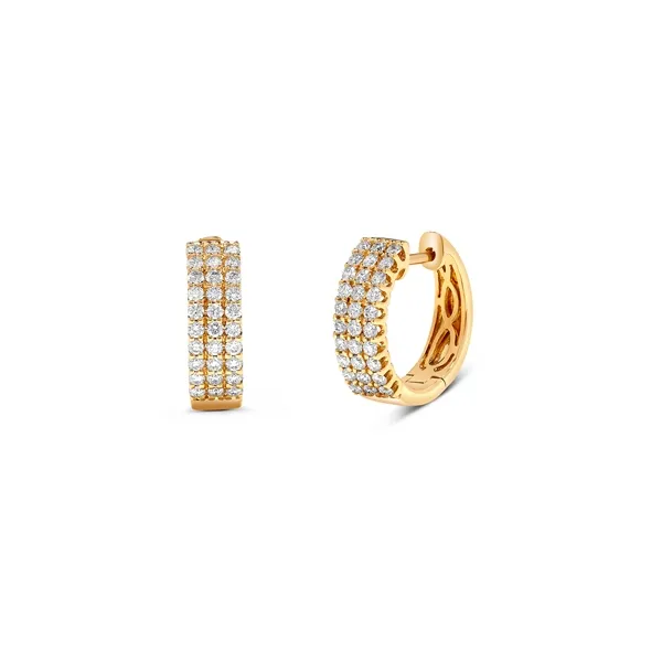 Diamond Earrings Jo & Co. Jewelers Hardy, VA