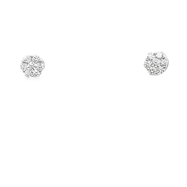 14K Yellow Gold Diamond Flower Cluster Stud Earrings Jo & Co. Jewelers Hardy, VA