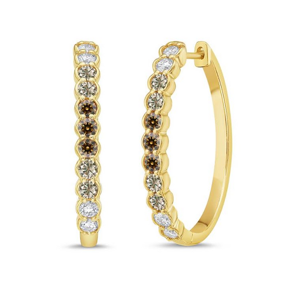 Diamond Earrings Jo & Co. Jewelers Hardy, VA