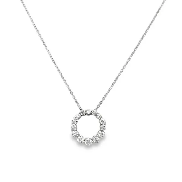 14K White Gold Round Graduated Diamond Circle Pendant Jo & Co. Jewelers Hardy, VA