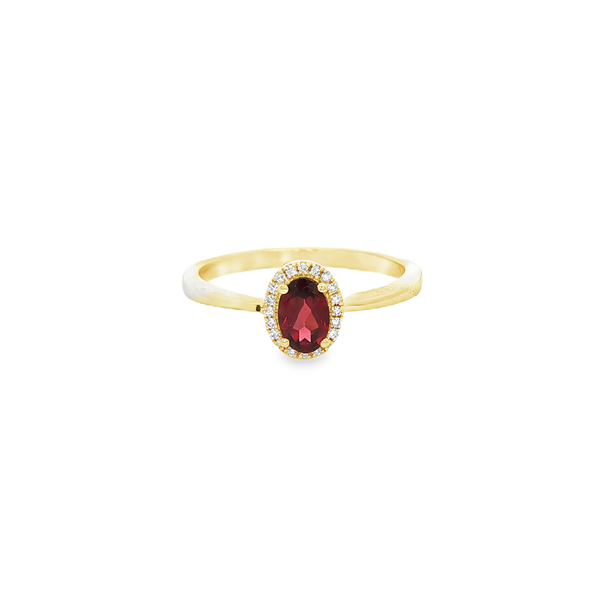 10K Yellow Gold Oval Garnet & Diamond Halo Ring Jo & Co. Jewelers Hardy, VA