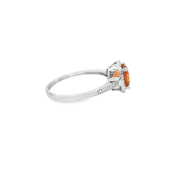 14K White Gold Round Citrine & Diamond Halo Ring Image 2 Jo & Co. Jewelers Hardy, VA