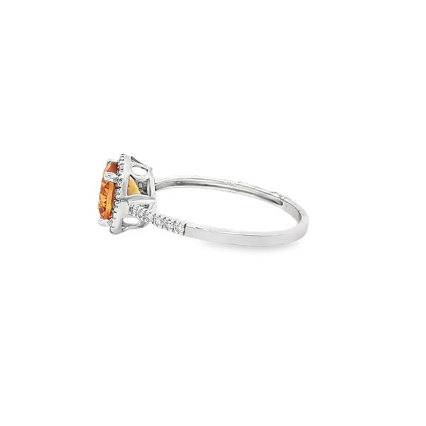 14K White Gold Round Citrine & Diamond Halo Ring Image 4 Jo & Co. Jewelers Hardy, VA