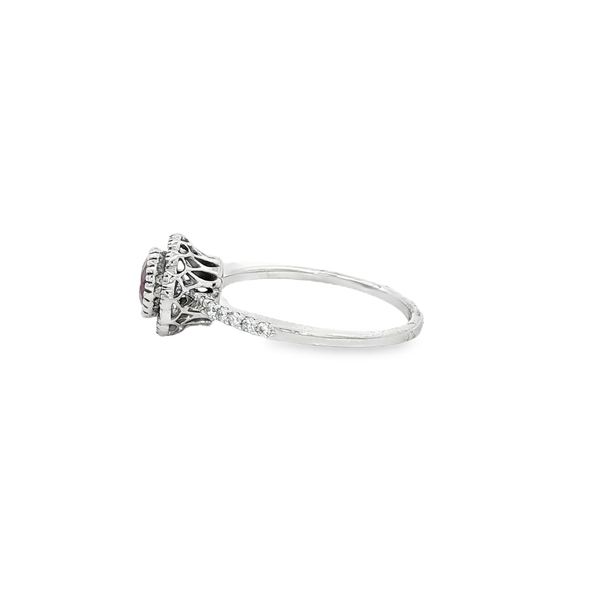 14K White Gold Round Ruby & Diamond Halo Ring Image 4 Jo & Co. Jewelers Hardy, VA