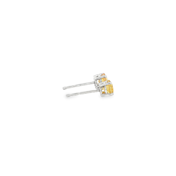 14K White Gold Round Citrine Stud Earrings Image 2 Jo & Co. Jewelers Hardy, VA
