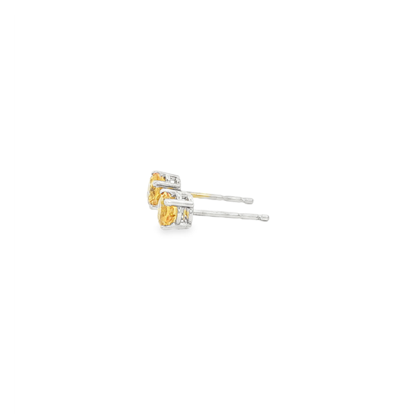 14K White Gold Round Citrine Stud Earrings Image 4 Jo & Co. Jewelers Hardy, VA