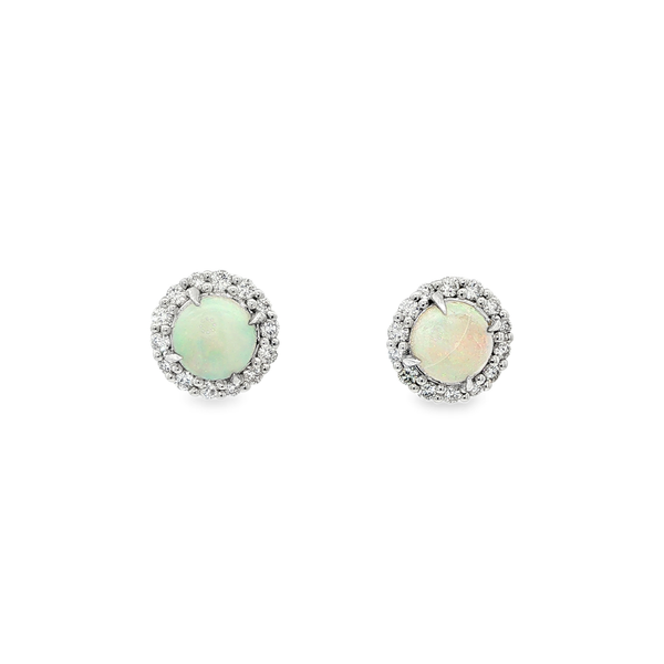 14K White Gold Opal & .35ctw Diamond Halo Stud Earrings Jo & Co. Jewelers Hardy, VA