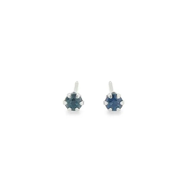 White Gold Hypoallergenic Birthstone Studs Jo & Co. Jewelers Hardy, VA