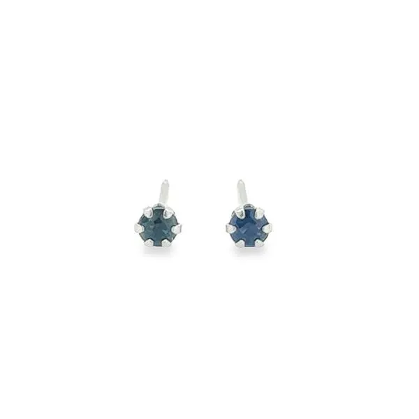 White Gold Hypoallergenic Birthstone Studs Jo & Co. Jewelers Hardy, VA
