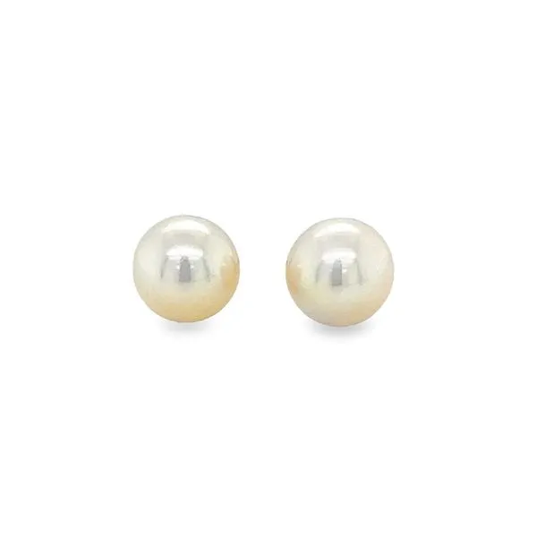 14K Yellow Gold Akoya Pearl Stud Earrings Jo & Co. Jewelers Hardy, VA
