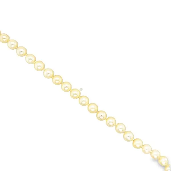 Bracelet Jo & Co. Jewelers Hardy, VA