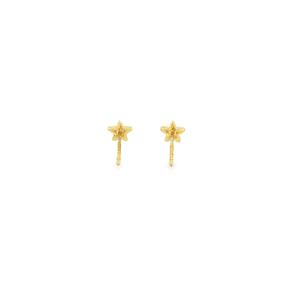 14K Yellow Gold Polished Star Post Earrings Image 3 Jo & Co. Jewelers Hardy, VA