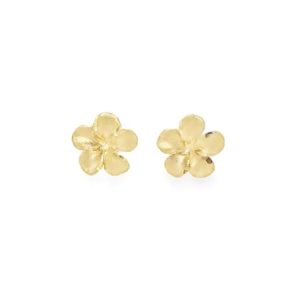 Earrings Jo & Co. Jewelers Hardy, VA