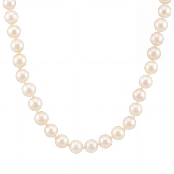 Necklace John Anthony Jewellers Ltd. Kitchener, ON