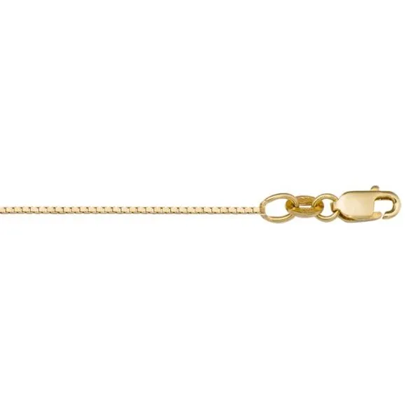 Italian 10K Yellow Gold Box Chain John Anthony Jewellers Ltd. Kitchener, ON
