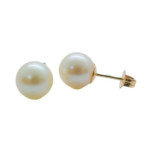 14K Yellow Gold 9.30mm Pearl Stud Earrings Image 2 Joint Venture Jewelry Cary, NC