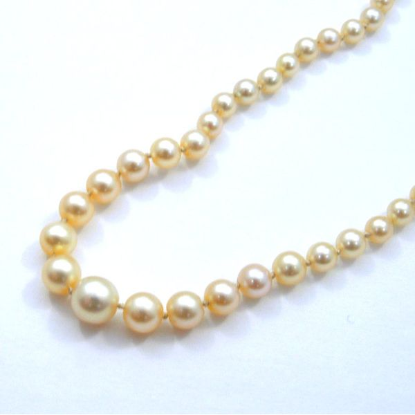 Chunky White Pearl Necklace in Gold – Blue Eyed Girl