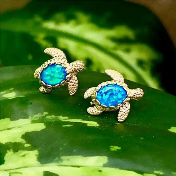 Earring Jon's Fine Jewelry Cocoa Village, FL
