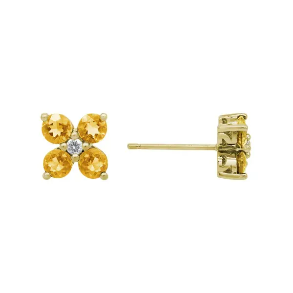Earring Jon's Fine Jewelry Cocoa Village, FL